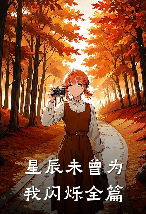 星辰未曾为我闪烁全篇
