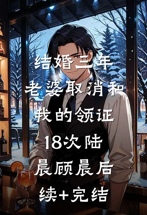 结婚三年，老婆取消和我的领证18次陆晨顾晨后续+完结