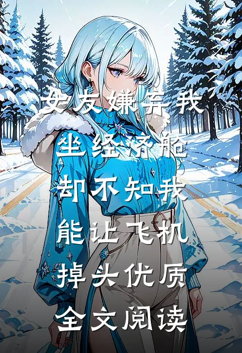 女友嫌弃我坐经济舱，却不知我能让飞机掉头优质全文阅读