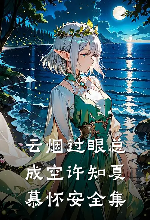 云烟过眼总成空许知夏慕怀安全集