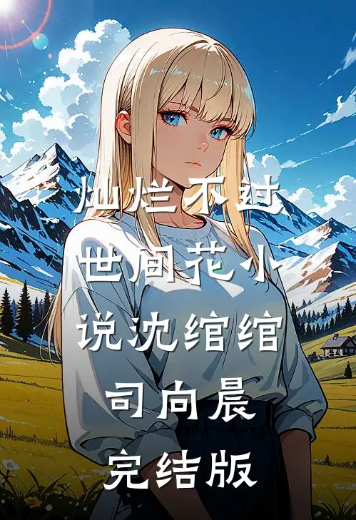 灿烂不过世间花小说沈绾绾司向晨完结版
