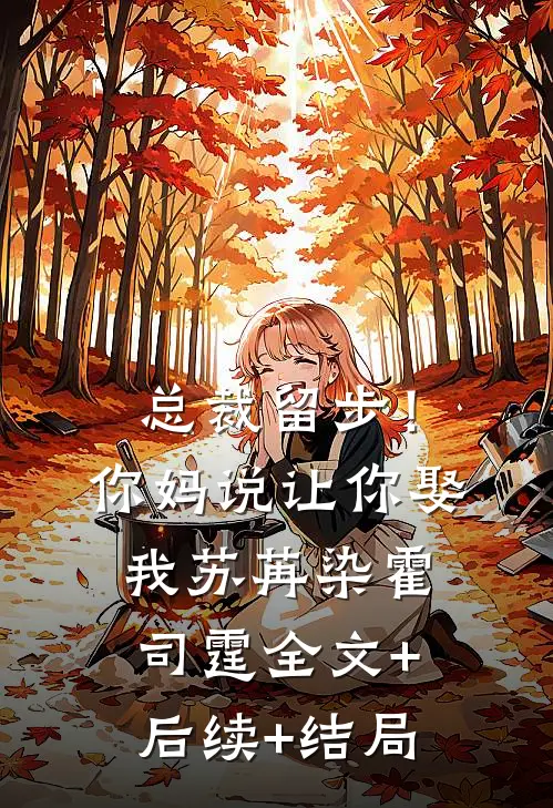 总裁留步！你妈说让你娶我苏苒染霍司霆:全文+后续+结局