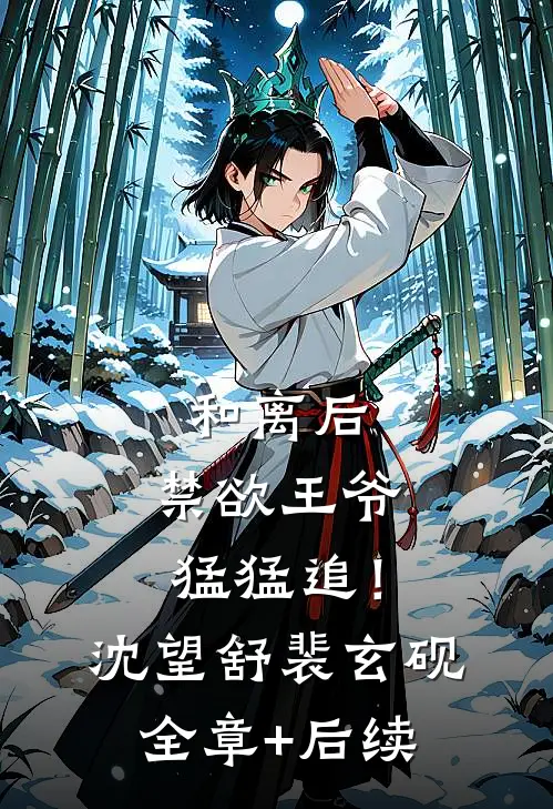 和离后，禁欲王爷猛猛追！沈望舒裴玄砚:全章+后续