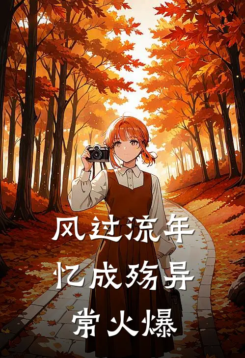 风过流年忆成殇异常火爆