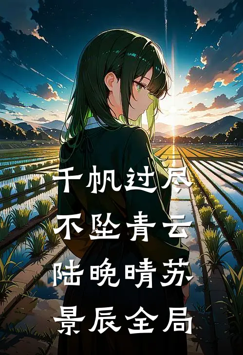 千帆过尽，不坠青云陆晚晴苏景辰全局
