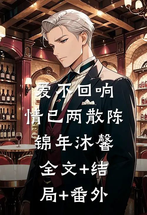 爱不回响，情已两散陈锦年沐馨:全文+结局+番外