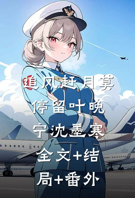 追风赶月莫停留叶晚宁沈墨寒:全文+结局+番外