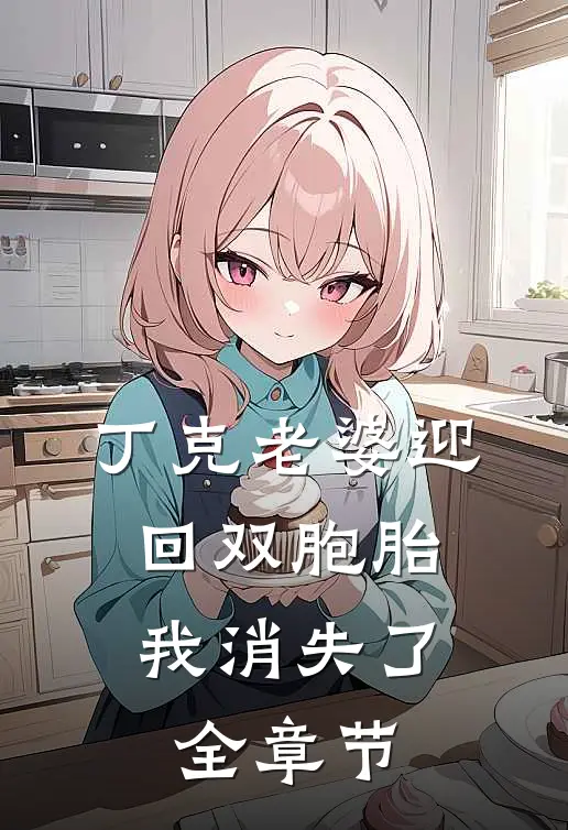 丁克老婆迎回双胞胎，我消失了全章节