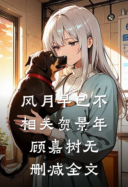 风月早已不相关贺景年顾嘉树无删减全文