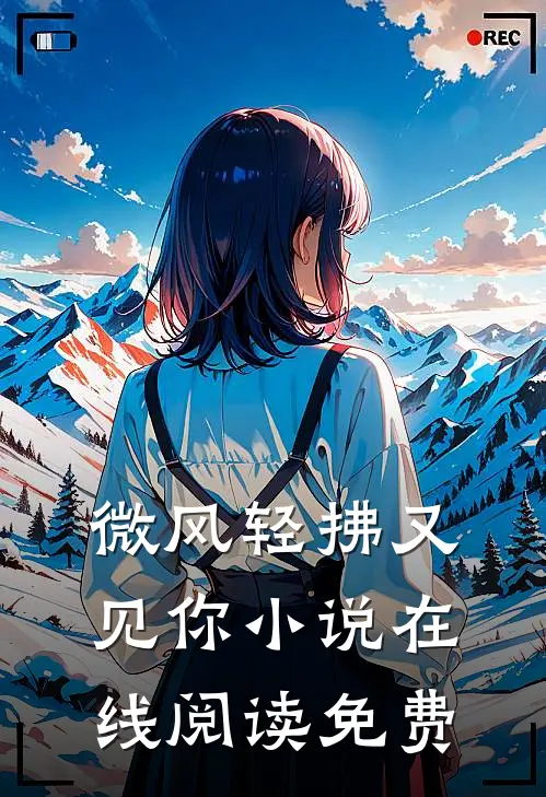 微风轻拂又见你小说在线阅读免费