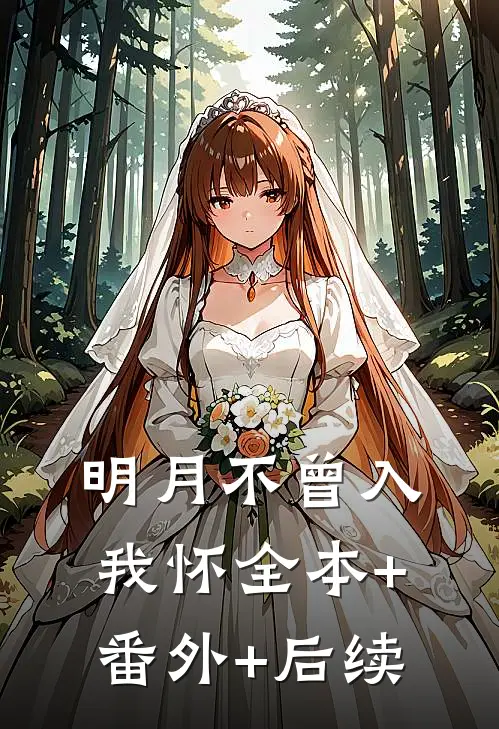 明月不曾入我怀全本+番外+后续