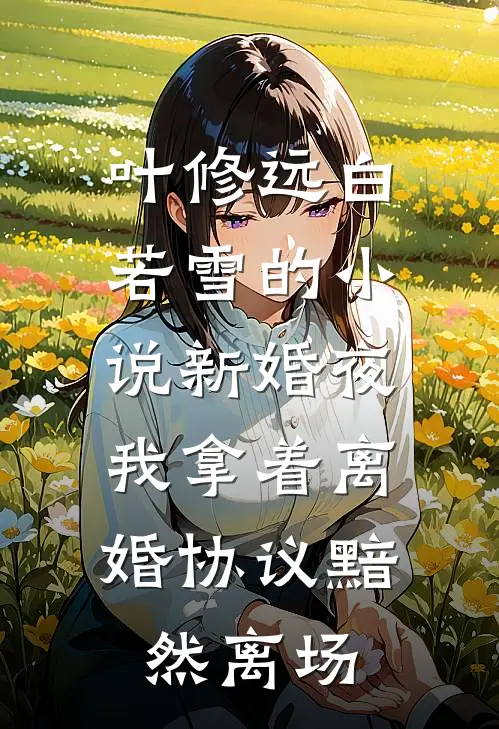 叶修远白若雪的小说新婚夜，我拿着离婚协议黯然离场