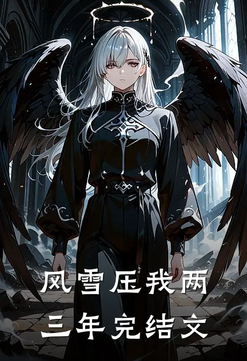 风雪压我两三年完结文