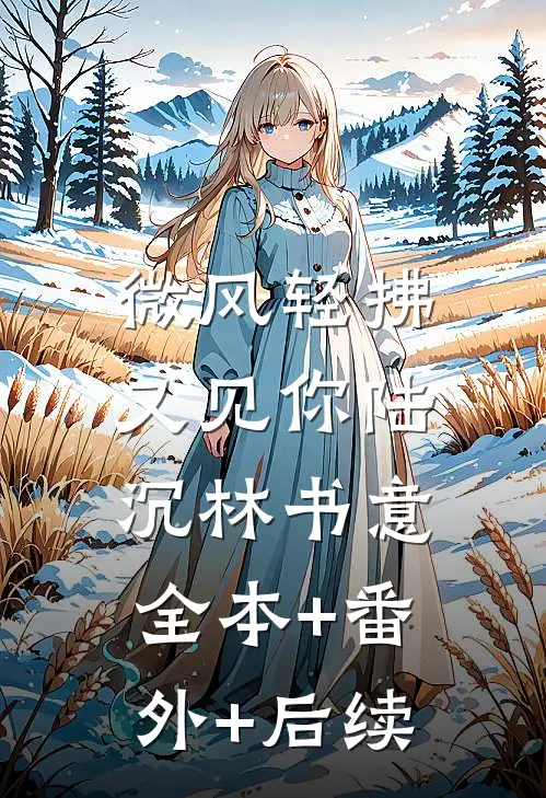 微风轻拂又见你陆沉林书意:全本+番外+后续