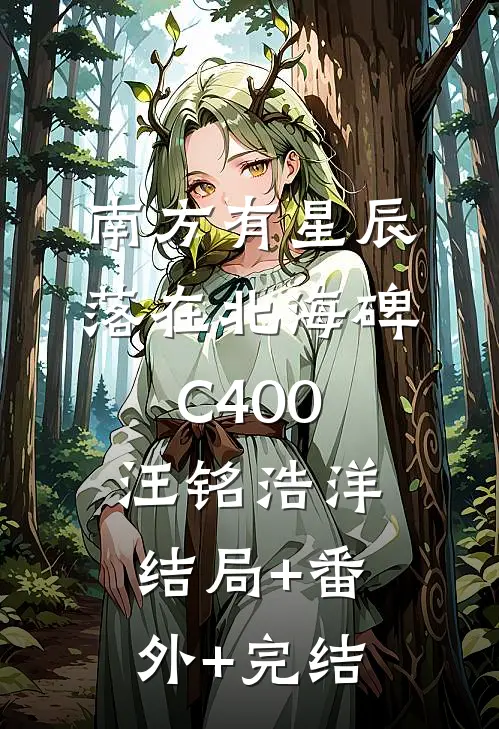 南方有星辰，落在北海碑C400汪铭浩洋结局+番外+完结