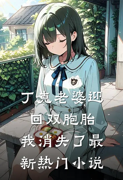 丁克老婆迎回双胞胎，我消失了最新热门小说