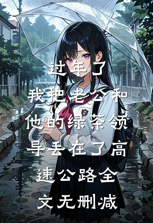 过年了，我把老公和他的绿茶领导丢在了高速公路全文无删减