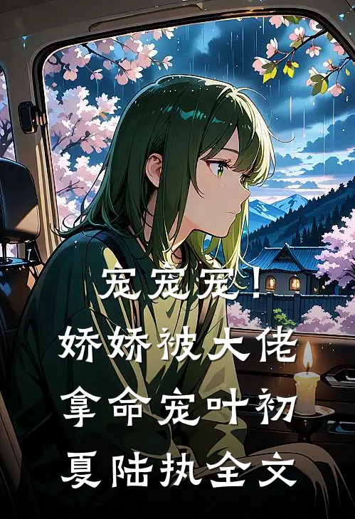 宠宠宠！娇娇被大佬拿命宠叶初夏陆执全文