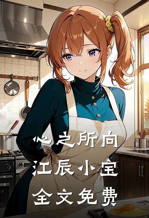 心之所向江辰小宝全文免费