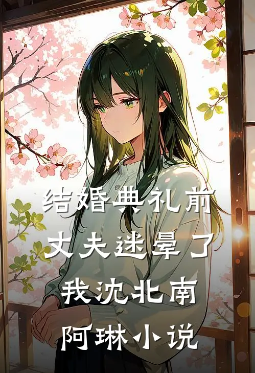 结婚典礼前，丈夫迷晕了我沈北南阿琳小说