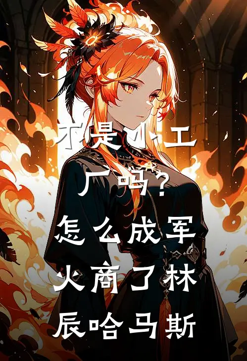 不是小工厂吗？怎么成军火商了林辰哈马斯