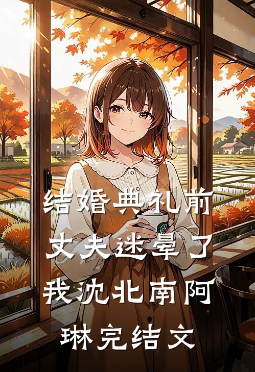 结婚典礼前，丈夫迷晕了我沈北南阿琳完结文
