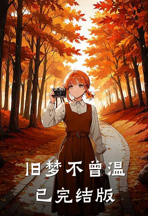旧梦不曾温已完结版