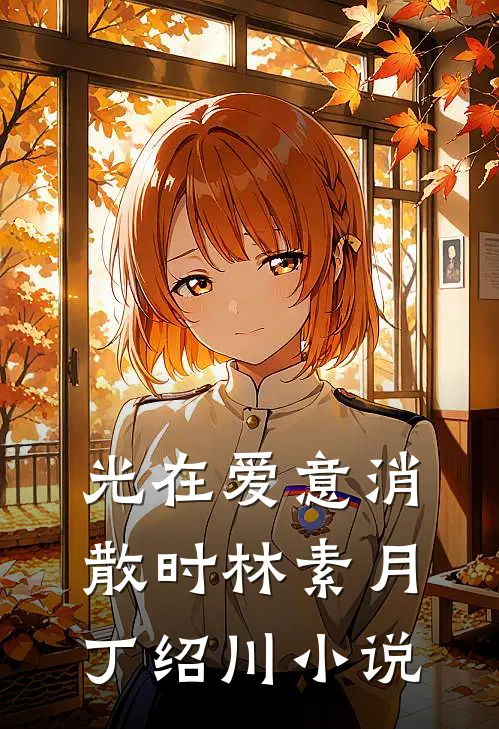 光在爱意消散时林素月丁绍川小说