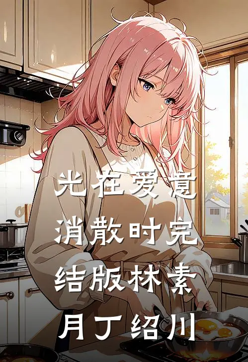 光在爱意消散时完结版林素月丁绍川