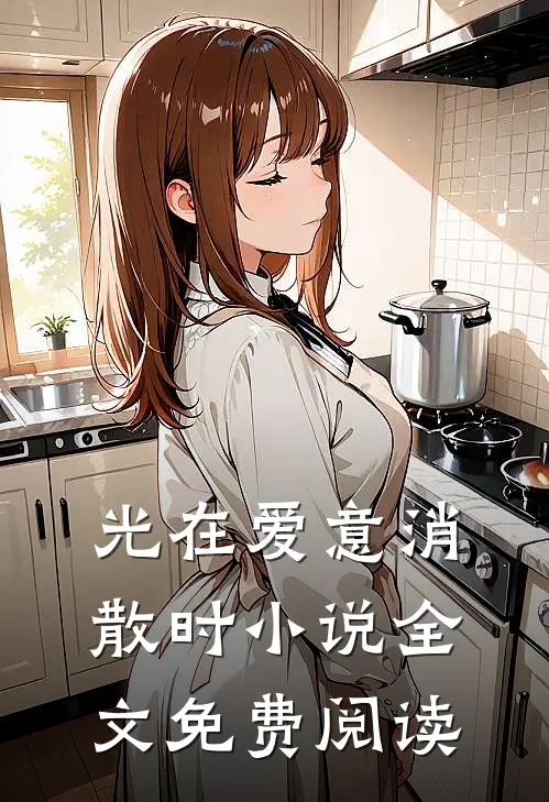 光在爱意消散时小说全文免费阅读
