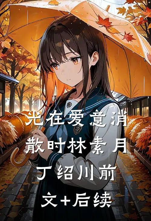 光在爱意消散时林素月丁绍川前文+后续