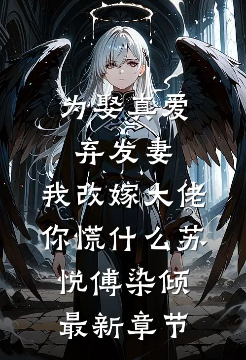 为娶真爱弃发妻，我改嫁大佬你慌什么苏悦傅染倾最新章节
