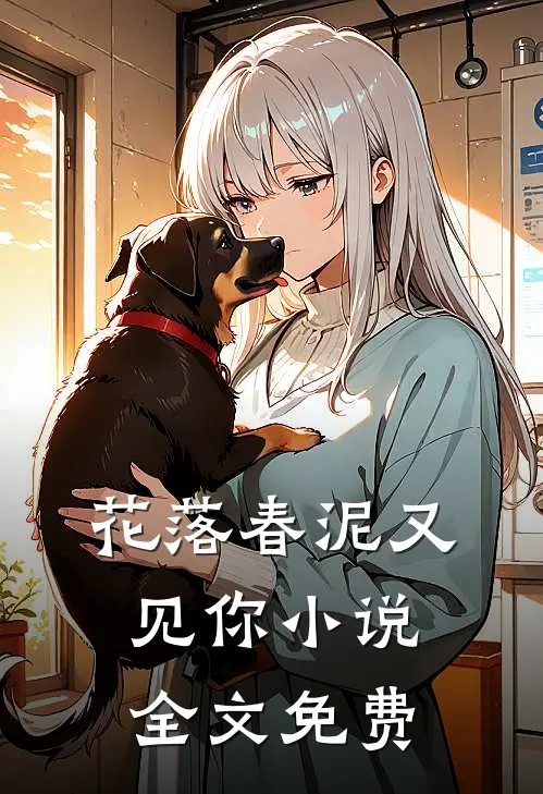 花落春泥又见你小说全文免费
