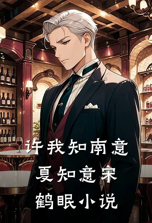 许我知南意夏知意宋鹤眠小说