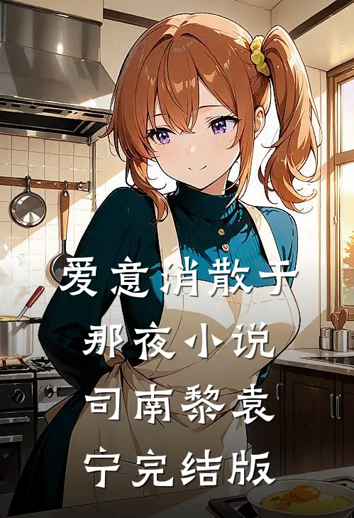 爱意消散于那夜小说司南黎袁宁完结版
