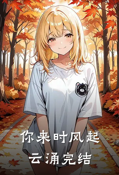 你来时风起云涌完结