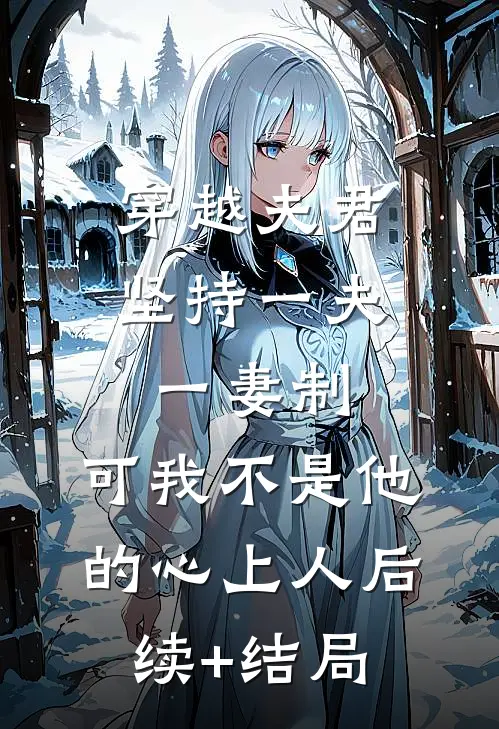 穿越夫君坚持一夫一妻制，可我不是他的心上人后续+结局