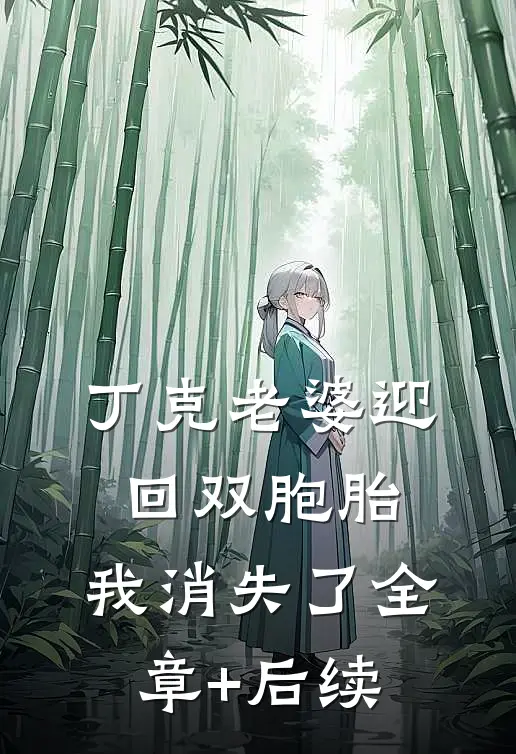 丁克老婆迎回双胞胎，我消失了全章+后续
