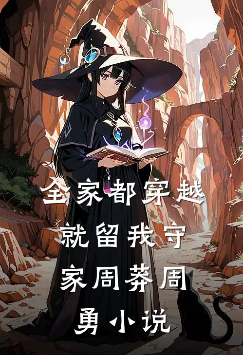 全家都穿越，就留我守家周莽周勇小说