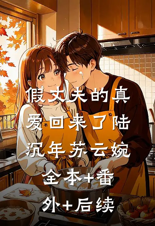 假丈夫的真爱回来了陆沉年苏云婉全本+番外+后续
