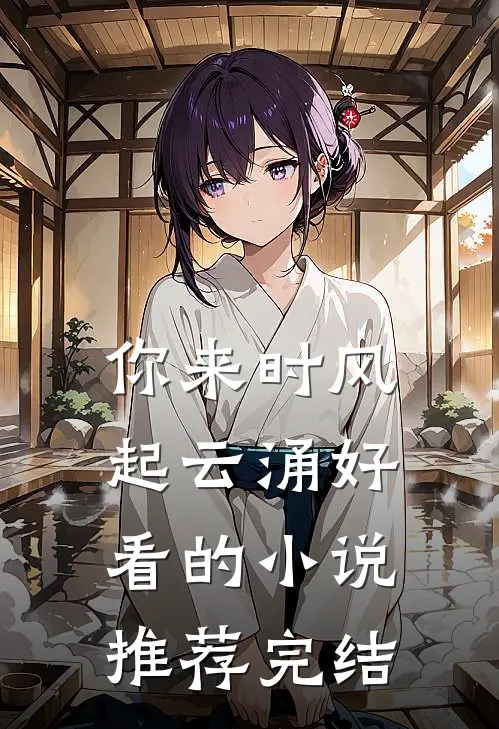 你来时风起云涌好看的小说推荐完结