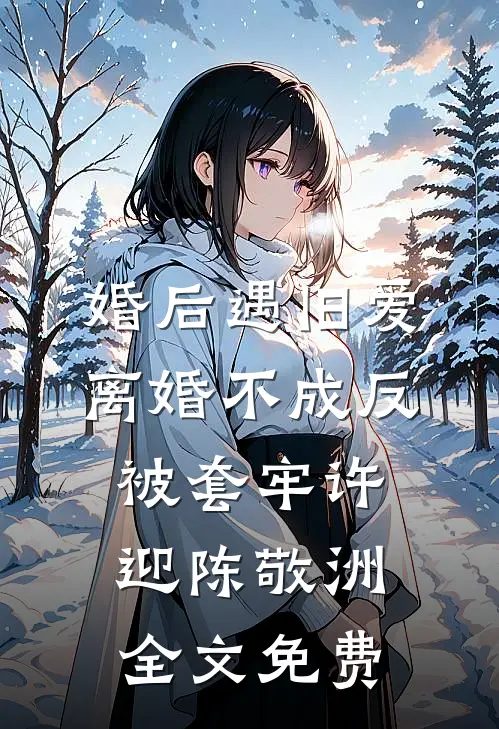 婚后遇旧爱，离婚不成反被套牢许迎陈敬洲全文免费