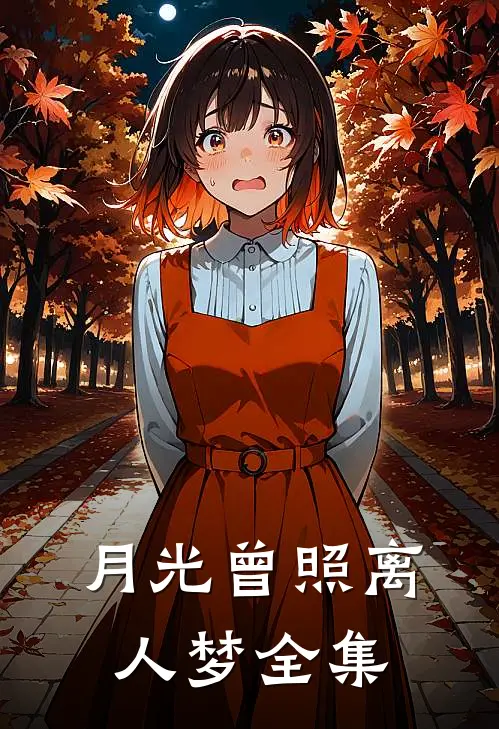 月光曾照离人梦全集