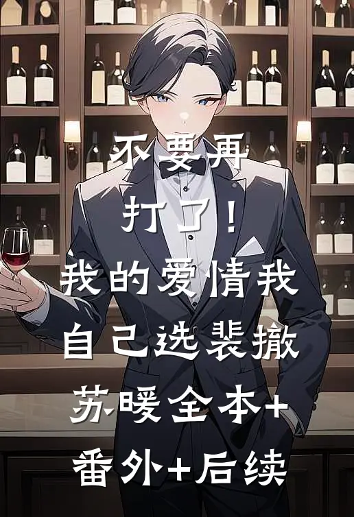 不要再打了！我的爱情我自己选裴撤苏暖全本+番外+后续