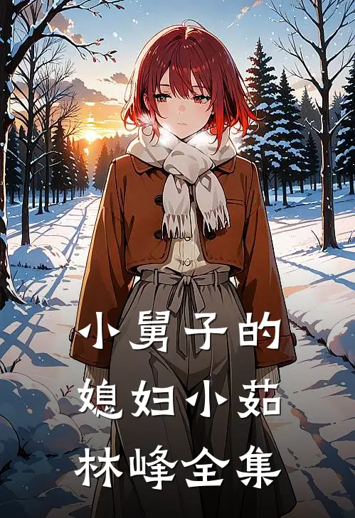 小舅子的媳妇小茹林峰全集