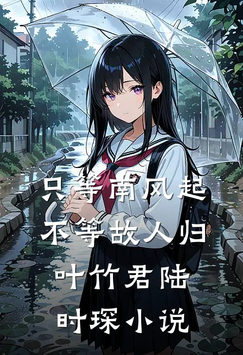 只等南风起，不等故人归叶竹君陆时琛小说