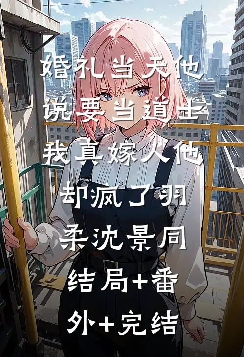 婚礼当天他说要当道士，我真嫁人他却疯了羽柔沈景同:结局+番外+完结
