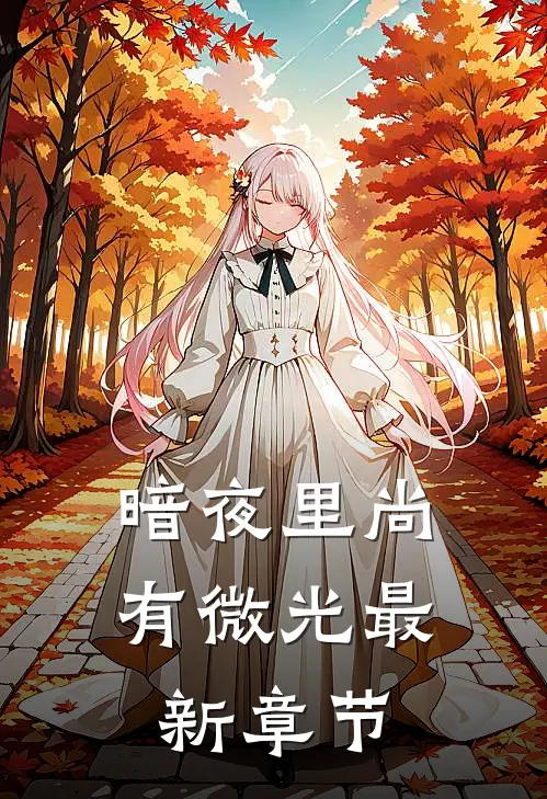 暗夜里尚有微光最新章节