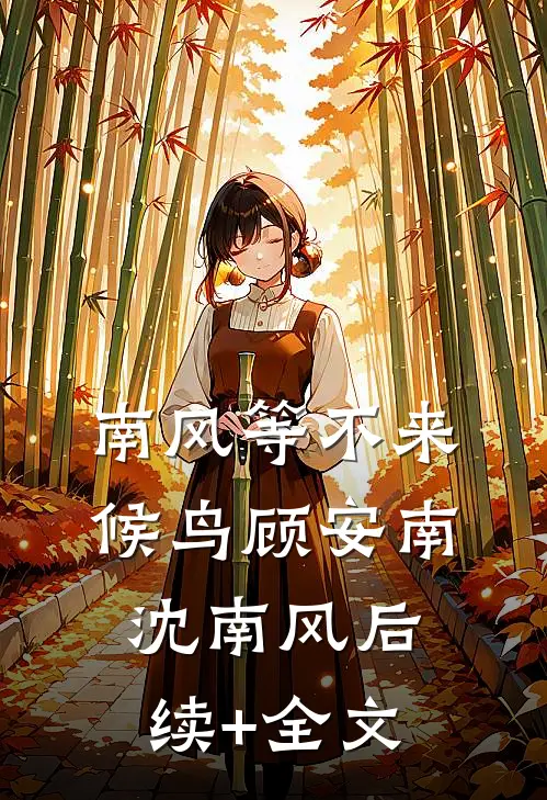 南风等不来候鸟顾安南沈南风后续+全文