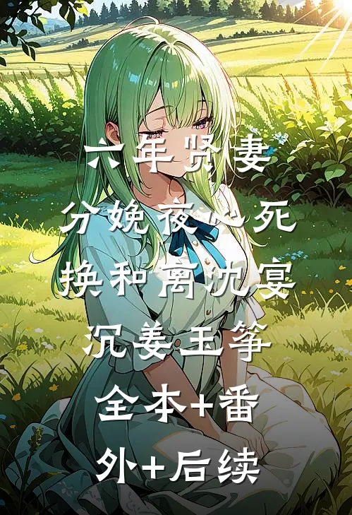 六年贤妻，分娩夜心死换和离沈宴沉姜玉筝:全本+番外+后续